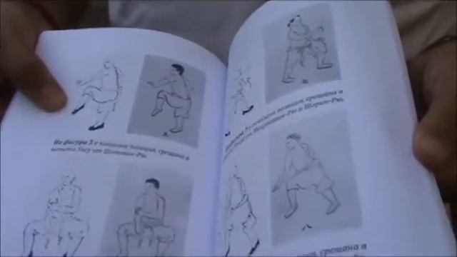 Кодът на БУБИШИ  автор Шихан Явор Дянков. Алея на книгата, София, 2020 г. Издателство ХЕЛИОПОЛ.