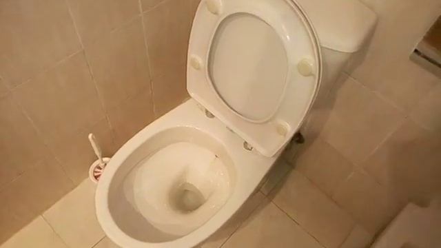 Видео обзор арабского унитаза