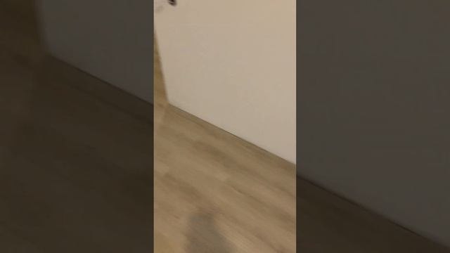 Укладка кварцвинила (Плитка ПВХ)