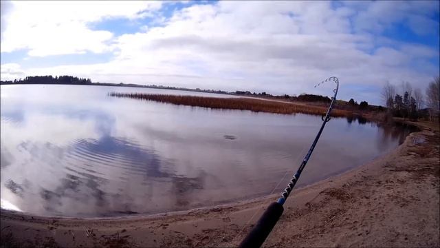 NEW ZEALAND TROUT FISHING A CRACK ON THE HEAD
