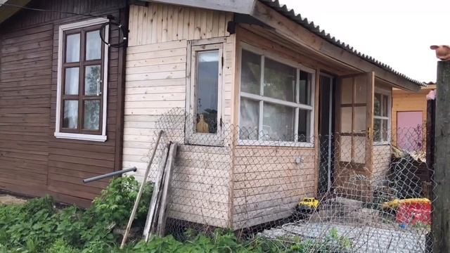 Обзор нашего участкаВолшутаРязанская областьИз города в деревнюУчасток 17 соток