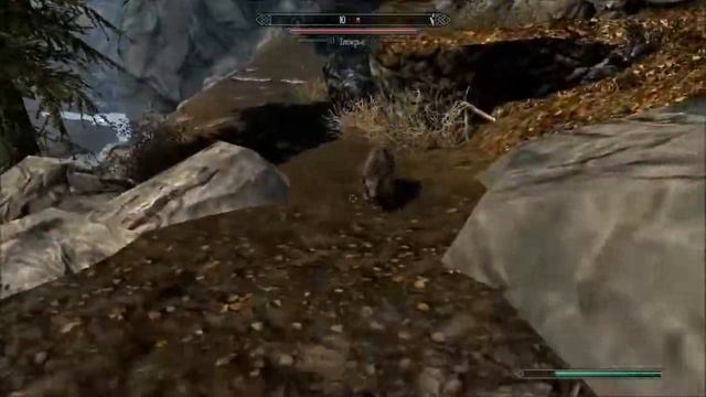 The Elder Scrolls V: Skyrim