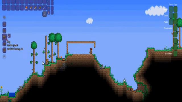 Terraria RU$$IAN.wmv