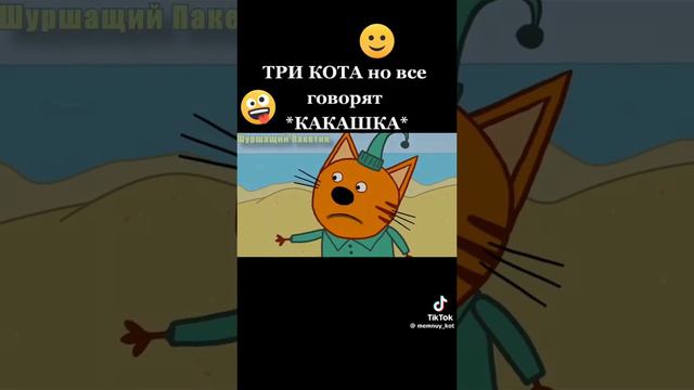 три кота 🤣🤣🤣🤣😂😂