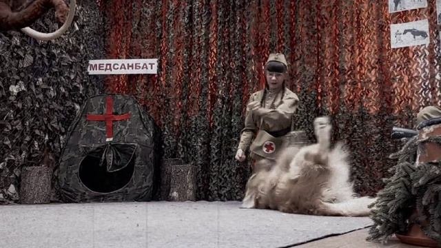 Итоговое занятие с собаками приуроченное к великой победи 9 мая!