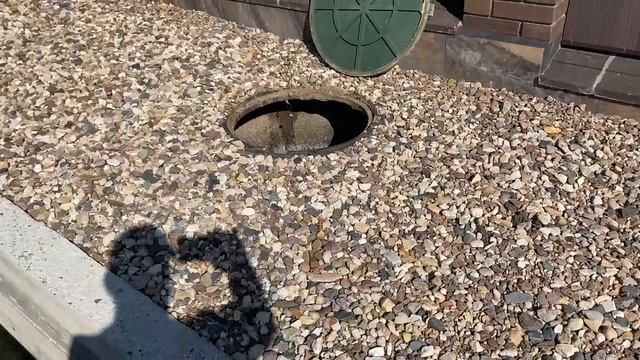 Станция Топас и Дочиста зовут на помощь септик Бобёр