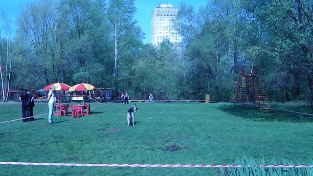 Чемпионат Москвы, ВЕО Оздер Русский Риск
