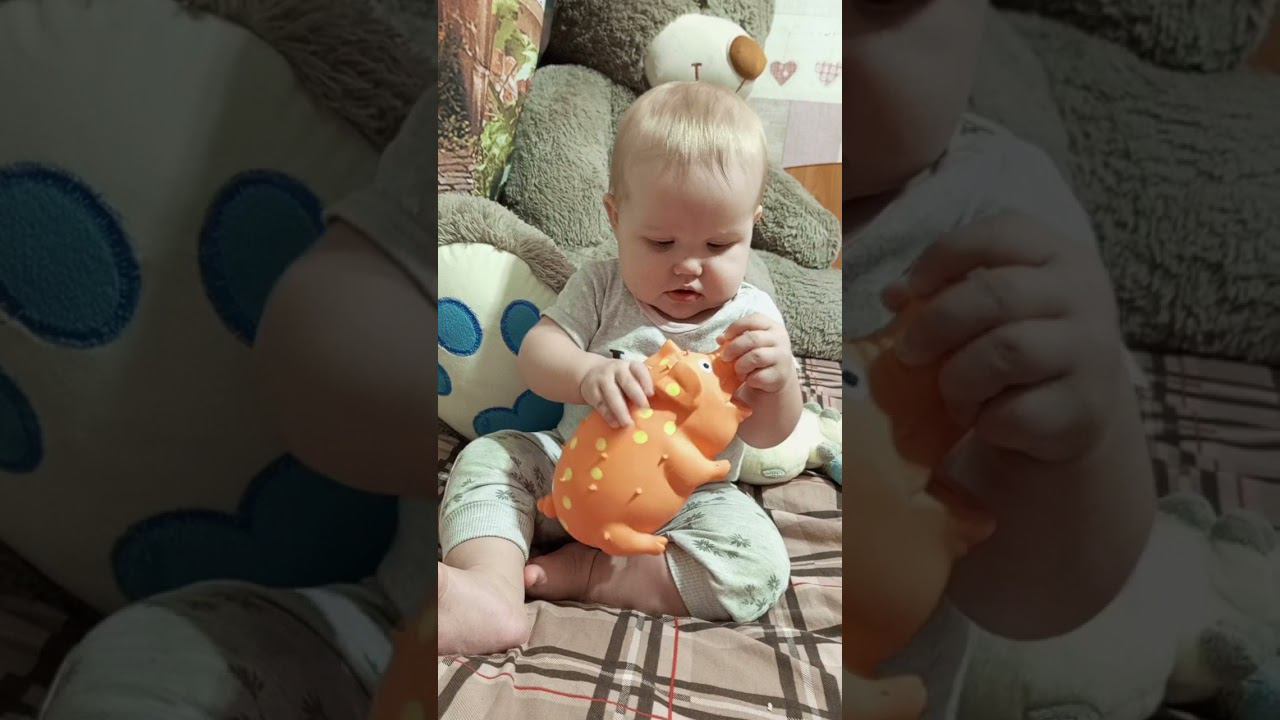 Когда игрушки для собак интереснее