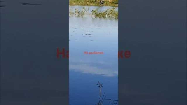 рыбалка