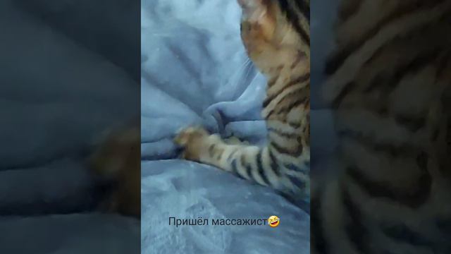 Массажист пришёл🤣
