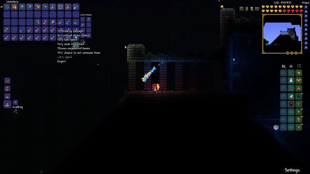 Skeletron Treasure Bag - Terraria