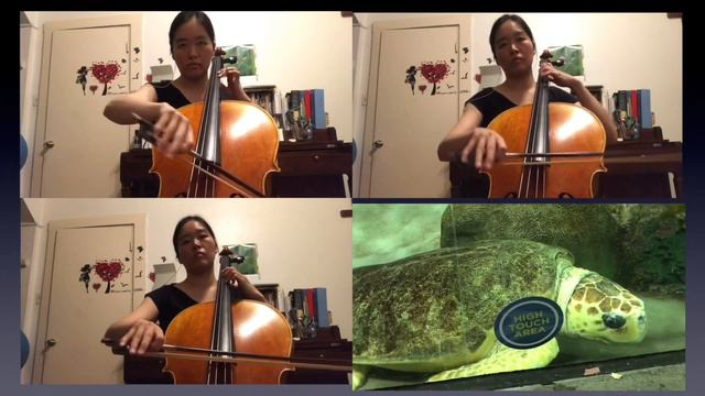 Merry Go Round of Life - Howl’s Moving Castle (cellos only)