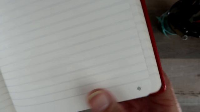 Dingbats  Wildlife A5+ Medium - bullet journal review + pen test