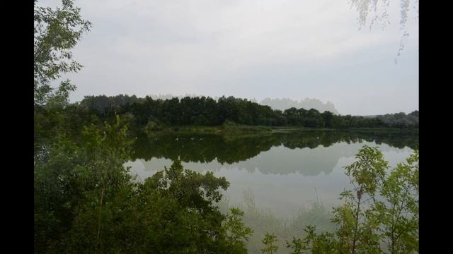 NIKON D5100 18-55 VR (Любите жизнь)