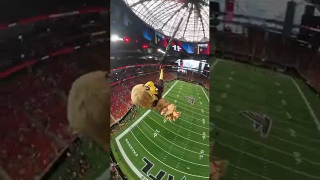 Сокол Фредди, маскот команды NFL Atlanta Falcons