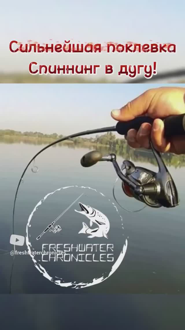 Сильнейшая поклевка на спиннинг.🎣 #fishing #рыбалка #имба #обзор #рек #carpfishing #рыба #приманки