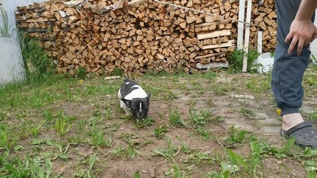 YouCut_20220701_161646653.mp4