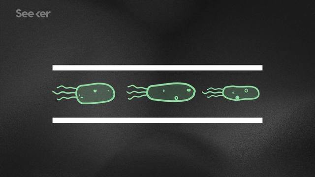 This Superfluid Is Alive, And It Could Power Machines of the Future