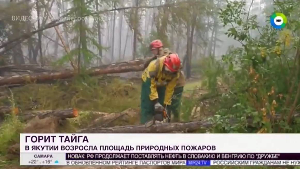 ТК МИР_Последствия природных пожаров в Якутии