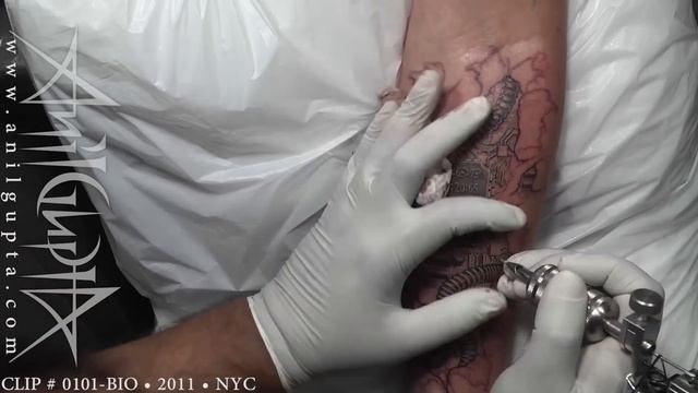 Anil Gupta Tattoo Biomechanical 0101.mov