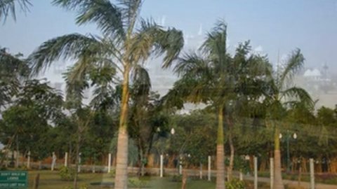 ЗОЛОТОЙ ГОРОД 2011 ИНДИЯ