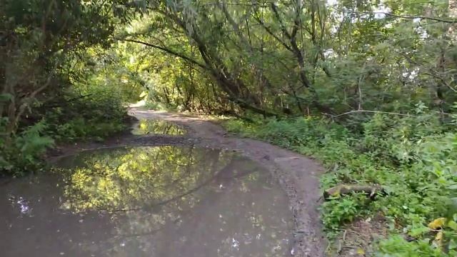 ЯМЫ ГРЯЗЬ ЛУЖИ