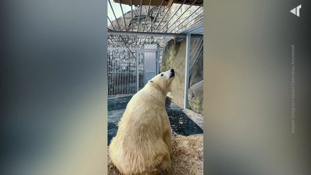 0405 ДОСТИЖЕНИЯ ДИКСОНА