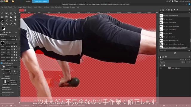 [it-004]   GIMP-2.99使ってみた！　ー pythonスクリプトで背景削除編  ー