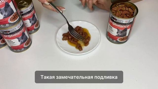 Консервированный корм для кошек Active, 415г 
Функциональный корм премиум класса