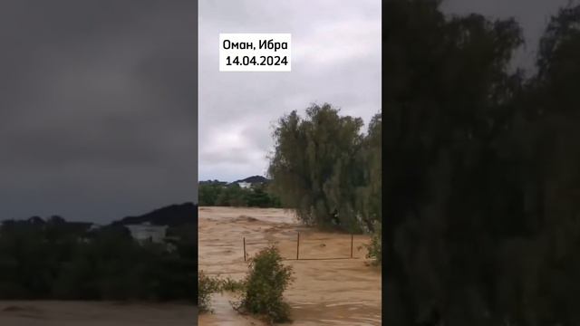 Масштабное наводнение в городе Ибра, Оман. 14.04.2024