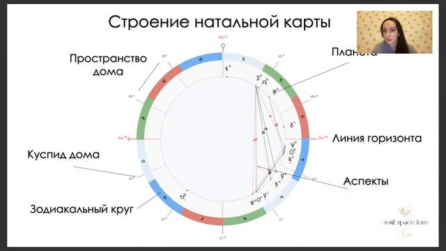 Натальная карта. Из чего состоит?