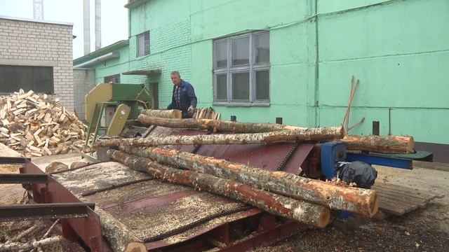 Как ведется заготовка дров в Старобинском лесхозе