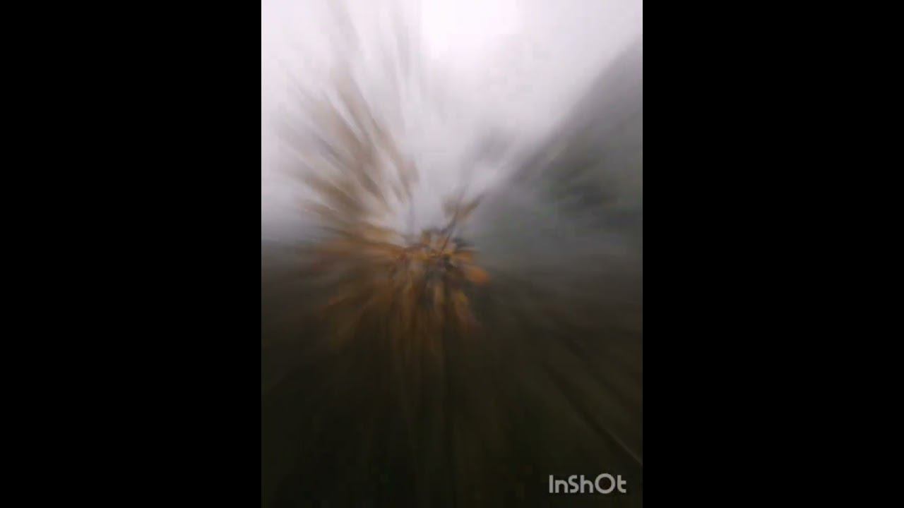 Олег Нетреба. Росинка