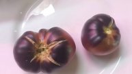 Самый черный томат.mp4