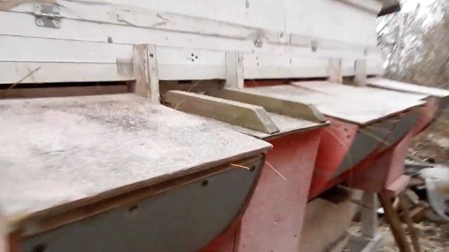 Новокуйбышевск.У кого есть совесть и душа нас слышат и  поддерживают.Возвращайтесь домой на Родину!