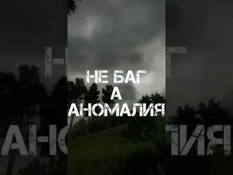 Не БАГ, а АНОМАЛИЯ. STALKER CHERNOBYL CHRONICLES/ХРОНИКИ ЧЕРНОБЫЛЯ #shorts