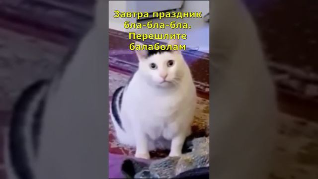 Не пропустите праздник