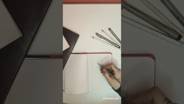 1000011235.mp4