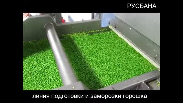 Как происходит заморозка горошка в IQL туннеле | Демонстрационное видео