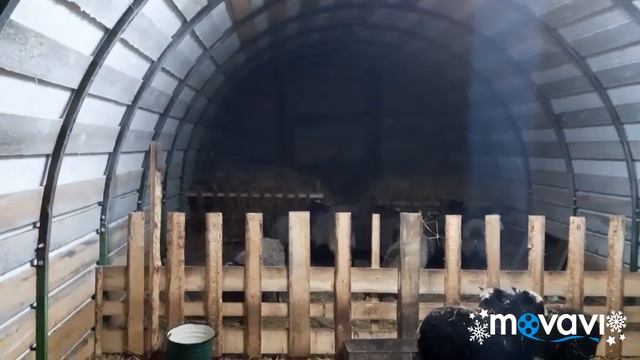Морозы//Доски//Ангар