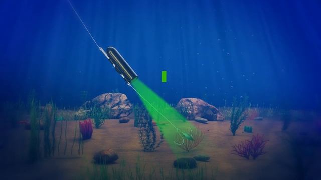 GoFish Cam HD Fishing Action Camera - Capture footage in 1080p - 60fps