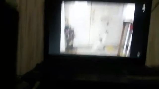 Маленький щенок под дождем промок