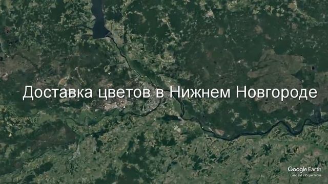 Доставка цветов в Нижнем Новгороде - Заказ букетов от компании Скорая подарочная помощь