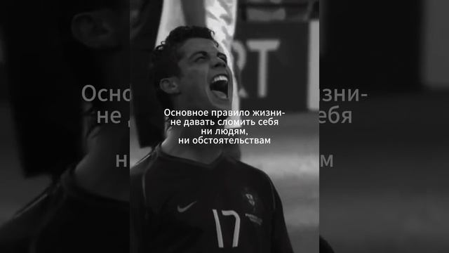Цитата
