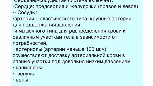 Система кровообращения