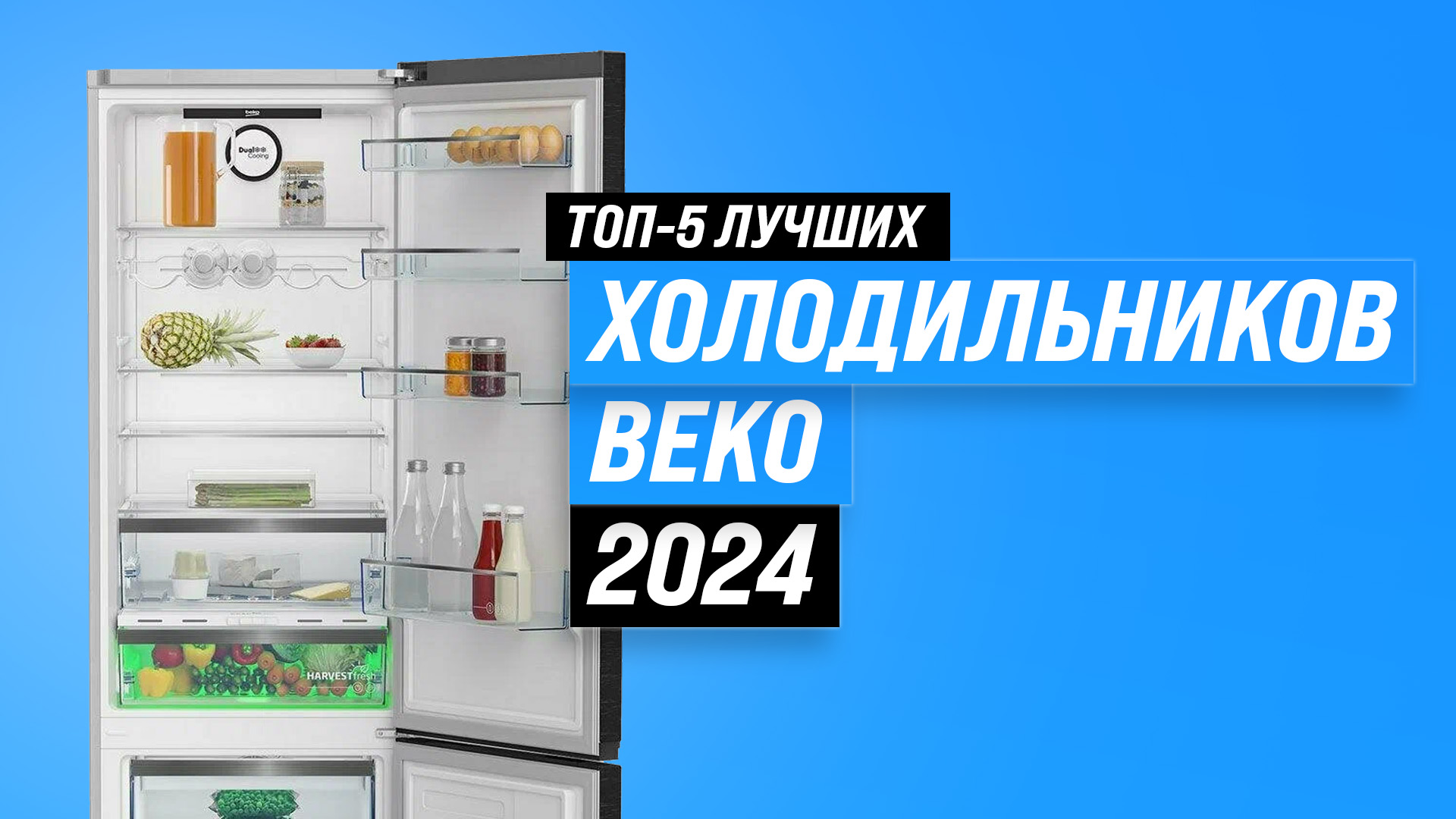 Рейтинг холодильников Beko 2024 года | ТОП–5 лучших холодильников Беко