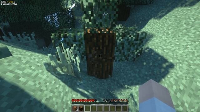 I made Minecraft into a REAL LIFE Simulator... (ULTRA REALISTIC)