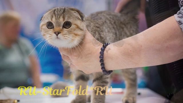 Выставка КЛК Москва, Сокольники