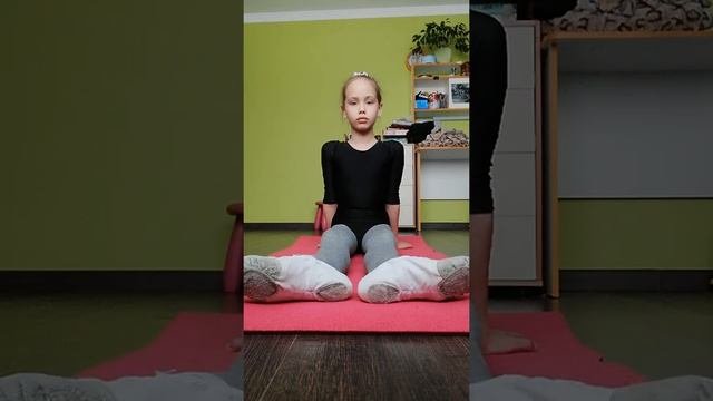 Гимнастика.выворотность