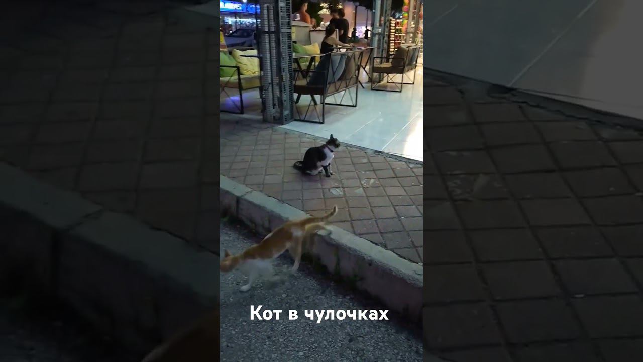 29 июня 2024 г.